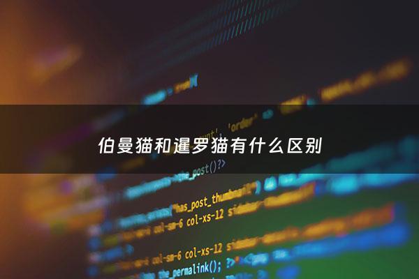 伯曼猫和暹罗猫有什么区别 - 伯曼猫和暹罗猫哪个好养