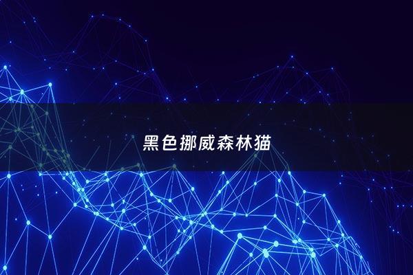 黑色挪威森林猫 - 挪威森林猫纯黑