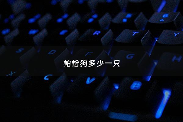 帕恰狗多少一只 - 帕恰狗 原型