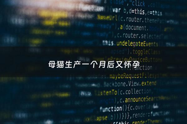 母猫生产一个月后又怀孕 - 猫咪才生产一个月又怀孕了