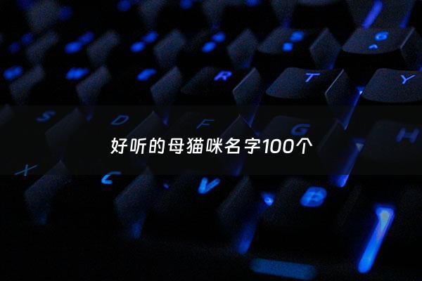 好听的母猫咪名字100个 - 好听的母猫名字洋气的