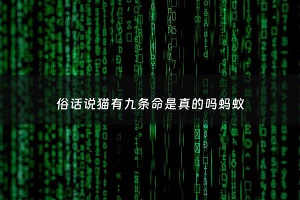 俗话说猫有九条命是真的吗蚂蚁 - 有俗语说猫有九条命,这是真的吗?