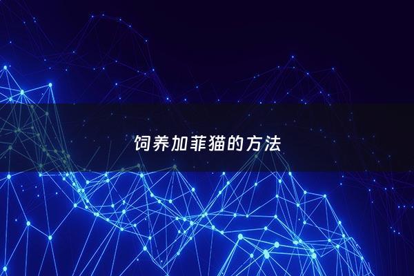 饲养加菲猫的*** - 如何养好一只加菲猫