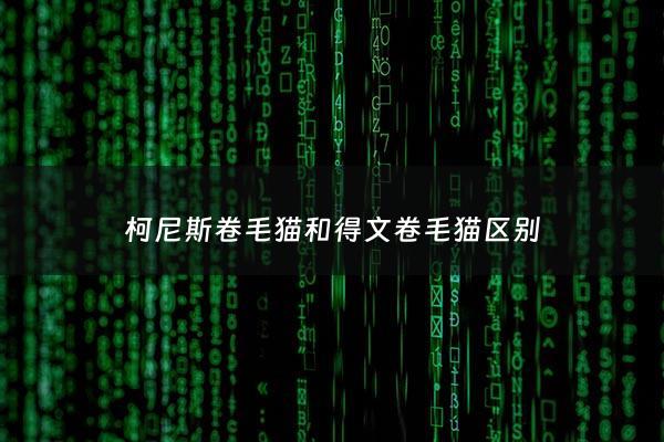 柯尼斯卷毛猫和得文卷毛猫区别 - 柯尼斯卷毛猫和德文卷毛猫哪个贵