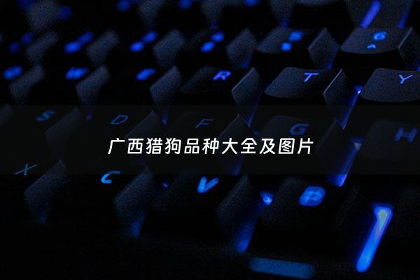 广西猎狗品种大全及图片 - 广西猎狗品种大全及图片介绍