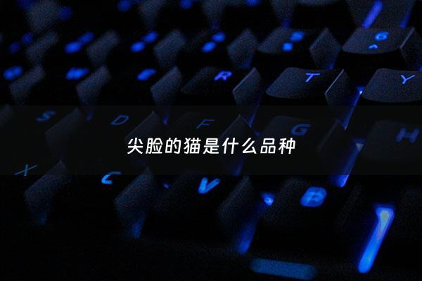 尖脸的猫是什么品种 - 脸尖的猫能长圆吗