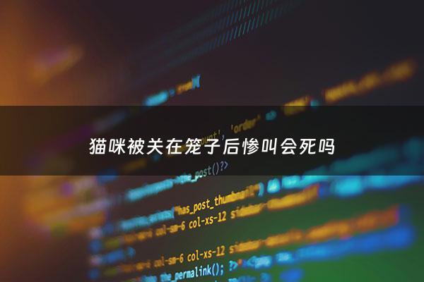 猫咪被关在笼子后惨叫会死吗 - 猫咪被关笼子里超级暴躁