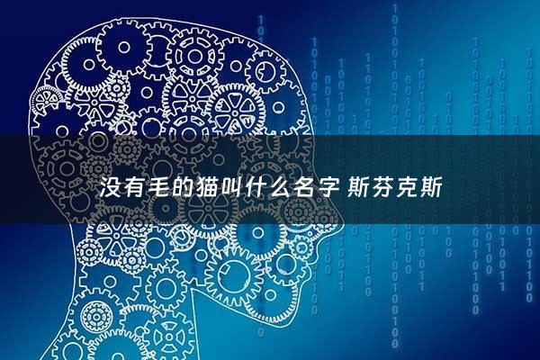 没有毛的猫叫什么名字 斯芬克斯 - 没有毛的宠物猫叫什么名字