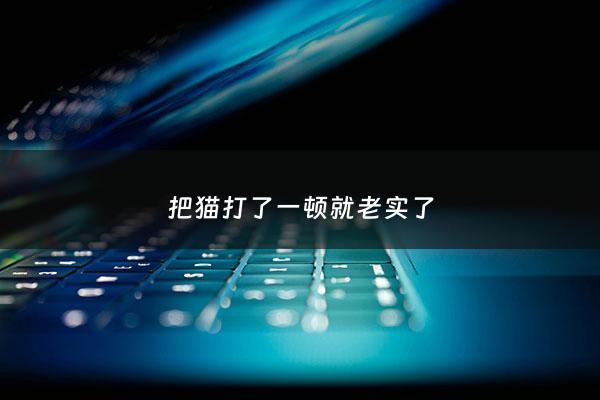 把猫打了一顿就老实了 - 为什么把猫打了一顿还会跑来粘着你