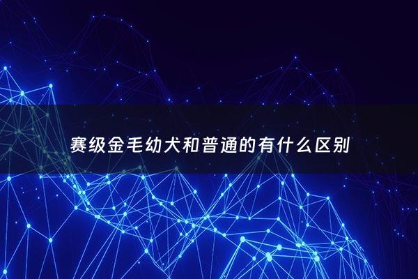 赛级金毛幼犬和普通的有什么区别 - 赛级金毛和普通金毛有什么区别