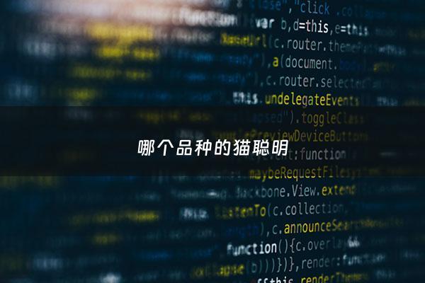 哪个品种的猫聪明 - 什么品种的猫最聪明排行