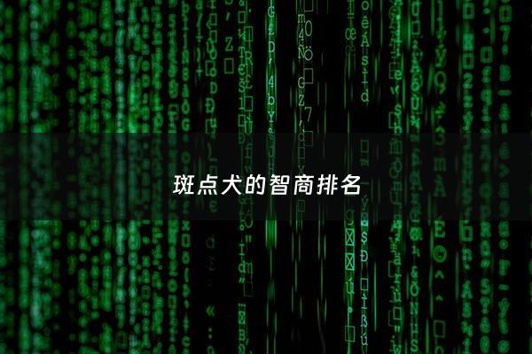 斑点犬的智商排名 - 斑点犬聪明吗