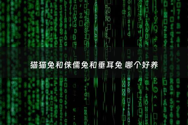 猫猫兔和侏儒兔和垂耳兔 哪个好养 - 猫猫兔好还是侏儒兔好