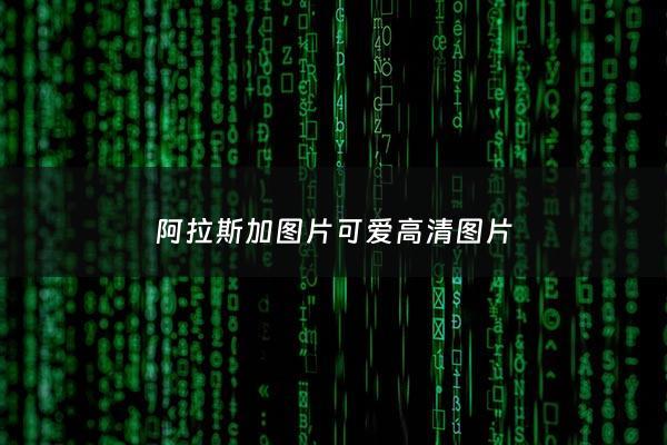 阿拉斯加图片可爱高清图片 - 阿拉斯加的图片你看啥
