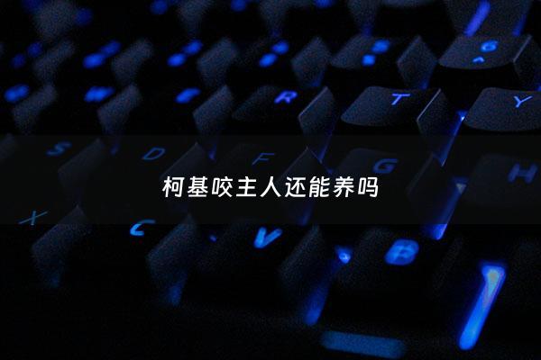 柯基咬主人还能养吗 - 柯基咬我