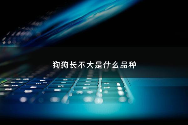 狗狗长不大是什么品种 - 狗狗长不大是什么品种的狗