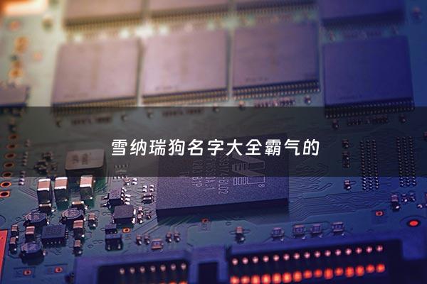 雪纳瑞狗名字大全霸气的 - 雪纳瑞好听的狗名