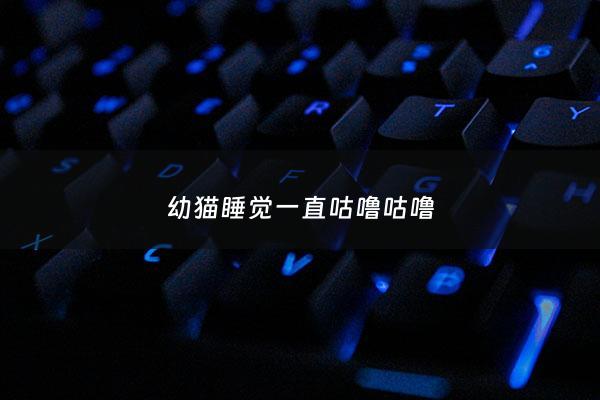 幼猫睡觉一直咕噜咕噜 - 幼猫睡觉一直咕噜咕噜的叫