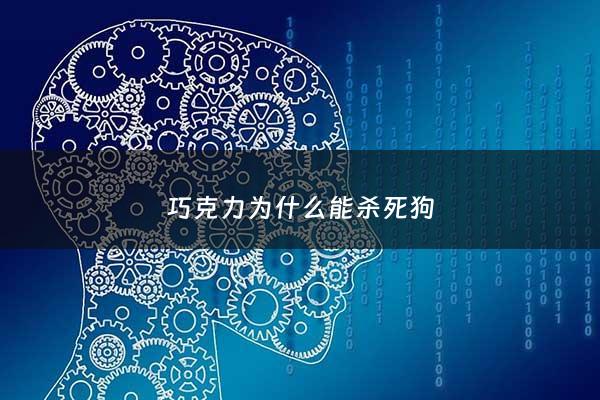 巧克力为什么能杀死狗 - 巧克力能弄死狗吗