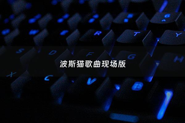 波斯猫歌曲现场版 - 波斯猫原唱