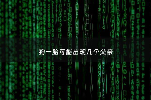 狗一胎可能出现几个父亲 - 狗一胎会有不同的父亲吗?