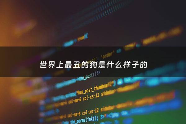 世界上最丑的狗是什么样子的 - 世界上最丑的狗十大排名
