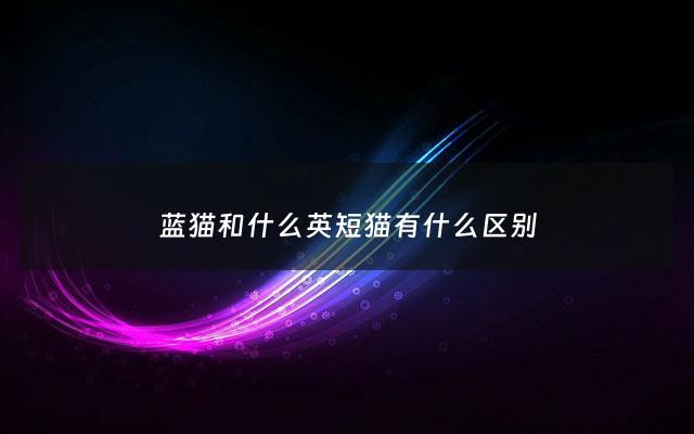 蓝猫和什么英短猫有什么区别 - 蓝猫和英短猫一样吗