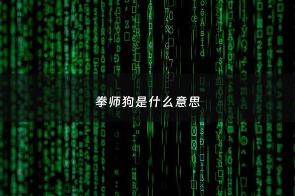 拳师狗是什么意思 - 拳师犬是什么档次的狗