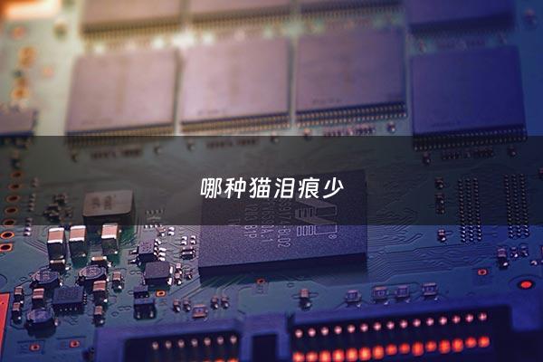 哪种猫泪痕少 - 什么猫天生有泪痕