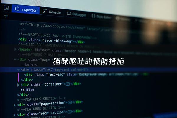 猫咪呕吐的预防措施 - 缓解猫咪呕吐