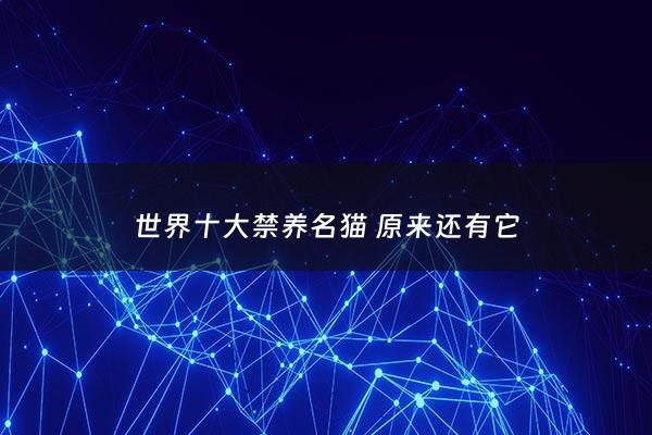 世界十大禁养名猫 原来还有它 - 世界10大禁猫