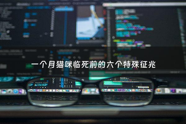 一个月猫咪临死前的六个特殊征兆 - 一个月小猫临死前身体的反应
