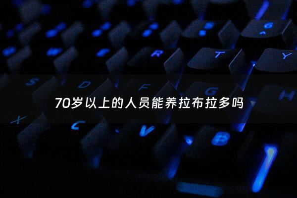 70岁以上的人员能养拉布拉多吗 - 70岁以上的人员能养拉布拉多吗***