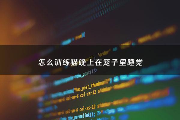 怎么训练猫晚上在笼子里睡觉 - 怎么让猫咪养成晚上在笼子中呆着