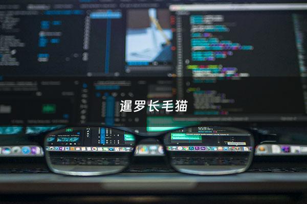 暹罗长毛猫 - 长毛 暹罗猫
