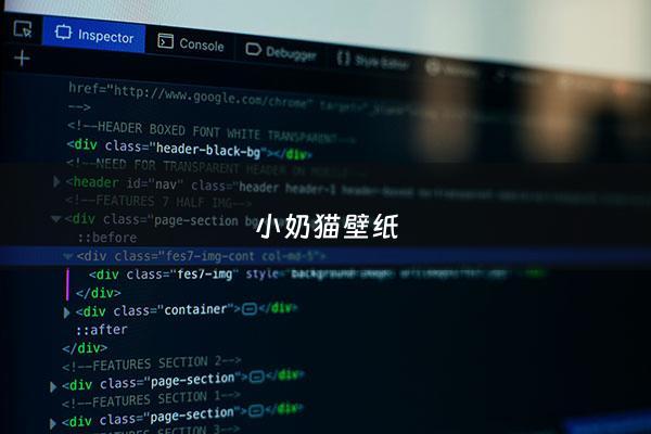 小奶猫壁纸 - 小奶猫图片可爱卖萌***