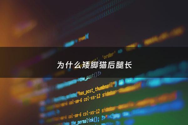 为什么矮脚猫后腿长 - 为什么有的矮脚猫后腿特别长