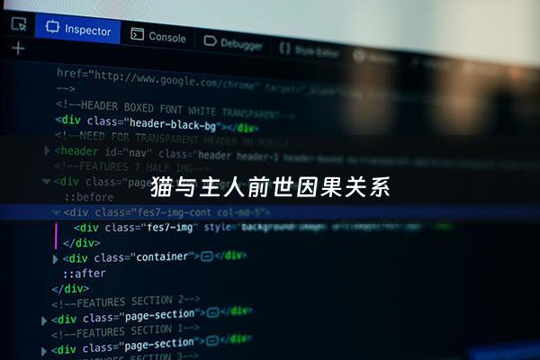 猫与主人前世因果关系 - 猫跟主人的因果缘分