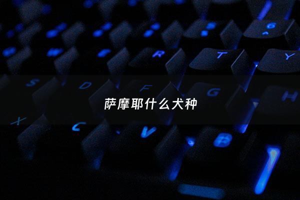 萨摩耶什么犬种 - 萨摩耶是哪种狗