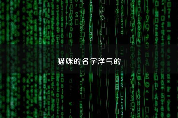 猫咪的名字洋气的 - 猫咪名字独特一点