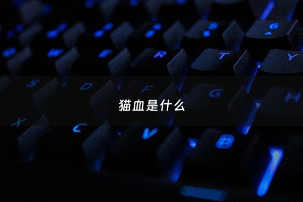 猫血是什么 - 猫血是什么病会传染人吗