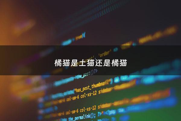 橘猫是土猫还是橘猫 - 橘猫是土猫还是宠物猫