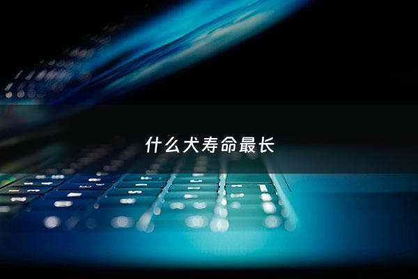 什么犬寿命最长 - 哪种犬寿命最长