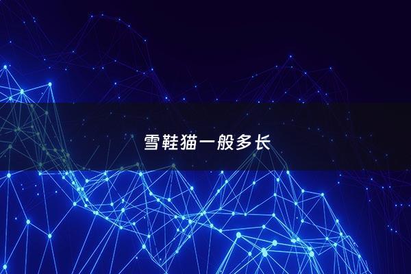 雪鞋猫一般多长 - 雪鞋猫价格***一只