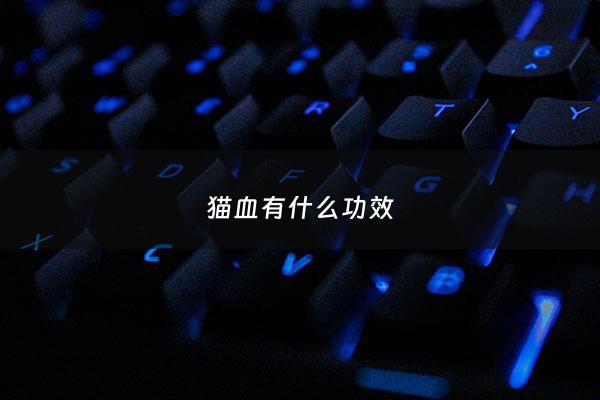 猫血有什么功效 - 猫血能干什么