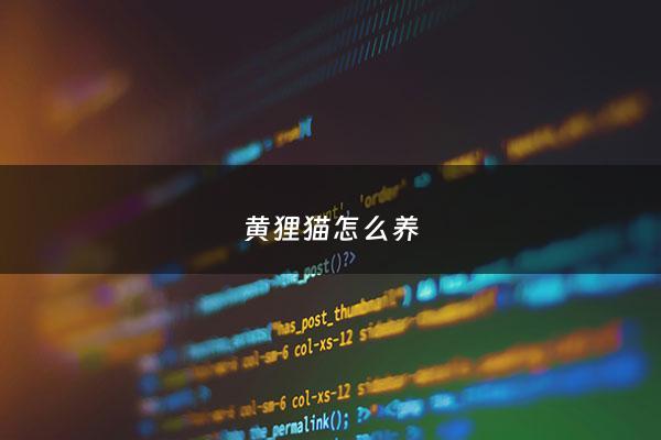 黄狸猫怎么养 - 黄狸猫适合家养吗