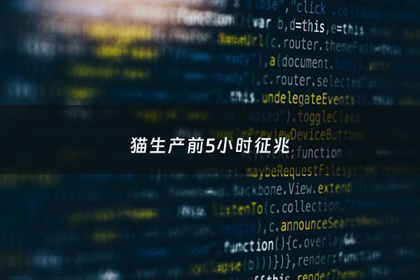 猫生产前5小时征兆 - 猫生产前的征兆会有多长时间