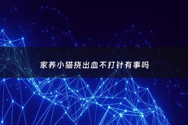 家养小猫挠出血不打针有事吗 - 家养小猫挠出血不打针有事吗图片