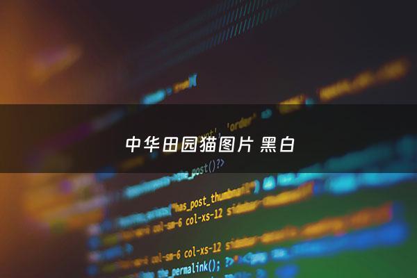 中华田园猫图片 黑白 - 中华田园猫的图片