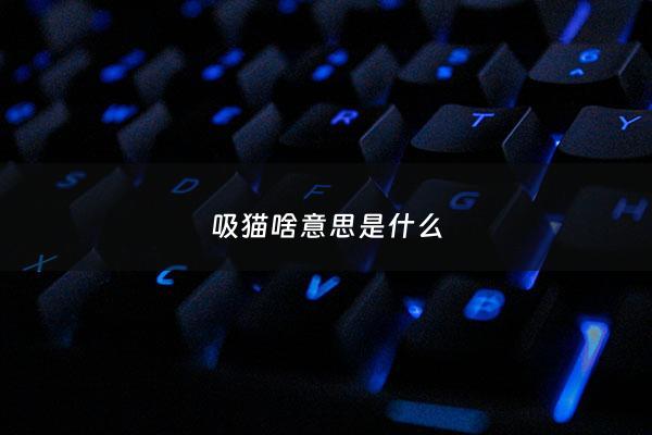 吸猫啥意思是什么 - 吸猫是什么鬼